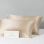 Beautysilks Silk 2 Pack Pillowcases Hypoallergenic Soft Smooth Hair and Skin Carousel 5