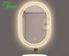 Oval LED Mirror W400 x H600 Carousel 1