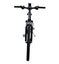 Special! Electric Mountain Bike - 29", 27 Speeds, Aluminum, 48V Motor,10Ah, Grey Carousel 3