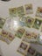 HUGE $1 JUNGLE VINTAGE LOT! 4 HOLO CARDS! Carousel 2
