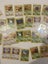 HUGE $1 JUNGLE VINTAGE LOT! 4 HOLO CARDS! Carousel 3