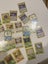 HUGE $1 JUNGLE VINTAGE LOT! 4 HOLO CARDS! Carousel 4
