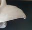 Classy White Ceramic Jester Vase Carousel 5