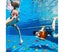 40 Pcs Diving Gem Pool Toys Set Colorful Summer Swimming Gem Diving Toys CoT Carousel 2