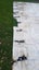 **INSULATED** Heavy Duty PVC Tarpaulin 7.6m × 3.1m Carousel 4