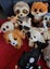 Bulk Ty Toys Carousel 8