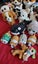 Bulk Ty Toys Carousel 10
