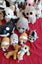 Bulk Ty Toys Carousel 11