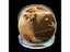 Commemorative Titanic Luck Collection Bitcoin Alloy Gold Plated Coin Metal Carousel 1