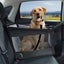 Safety Car Seat for Pet TC25 | TOUCHANDCATCH NZ Carousel 1