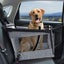 Safety Car Seat for Pet TC25 | TOUCHANDCATCH NZ Carousel 2