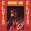 ELVIS PRESLEY - BURNING LOVE (CASSETTE) Carousel 1