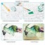 60x75cm Frame Diy Painting By Numbers For Adults Road Landscape Canvas For Home Carousel 6