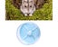 26cm/10.2in Blue Hamster Exercise Running Wheel Silent Hamster Wheel Toys for Carousel 2