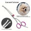 50PCS Pet Grooming Scissors Set with Comb – 5-in-1 for Dogs & Cats Carousel 2