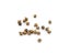 100Pcs Bronze Metal Jingle Bells Loose Beads Festival Decor DIY Crafts Carousel 6