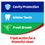 Colgate Fluoride Toothpaste Triple Action Value Pack 210g Carousel 6