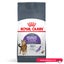 [PRE-ORDER] Royal Canin Appetite Control Adult Dry Cat Food 3.5kg Carousel 1