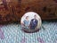 Awesome Vintage NZ Royal Tour 1953/54 Queen Elizabeth II & The Duke Of Edinburgh Carousel 1