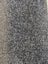 Auction 506 , 4.45 x 3.65 metres nylon cut pile carpet. Carousel 2