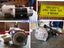 Digger Starter Motor for CAT / EX / SH / SK / DH / Toyota / Hyundai / Doosan Carousel 6