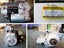 Digger Starter Motor for CAT / EX / SH / SK / DH / Toyota / Hyundai / Doosan Carousel 10
