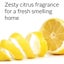 Ecostore Spray Cleaner Antibacterial Refill Carousel 3