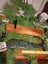 "INCREDIBLE" (NZ POUNAMU) (JADE) HUGE 50cm PATU/MERE E.T.S Jewellery $1 Reserve Carousel 10
