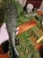 "INCREDIBLE" (NZ POUNAMU) (JADE) HUGE 50cm PATU/MERE E.T.S Jewellery $1 Reserve Carousel 13