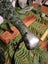 "INCREDIBLE" (NZ POUNAMU) (JADE) HUGE 50cm PATU/MERE E.T.S Jewellery $1 Reserve Carousel 15