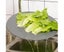 Splatter Screen for Frying Pan Metal Guard Shield Oil Splash Mesh Cover Kitch Carousel 6