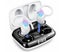 Wireless Earbud Bluetooth 5.3 Headphones Sport Earphones 48H Playtime Ear Bud Carousel 1
