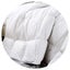 Royal Comfort Duck Feather And Down Quilt Size: 95% 500Gsm White Cotton King Sin Carousel 1