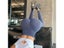 Women Seamless Leggings Fitness High Waist Elastic Slim Booty Lifting Workout Carousel 6