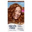 Clairol Nice 'N Easy 6R Natural Light Auburn Permanent Hair Colour Carousel 2