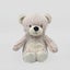 Heat Pack Teddy Carousel 1