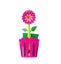 Vigar Flower Power 3pc Sink Caddy Se Carousel 1