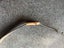 Apple Watch Series 6 (GPS + Cellular) Carousel 3