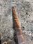 Ancient Kauri Mega Curl Wood – Rare Collector’s Piece (1720 × 85 × 45 mm) Carousel 1