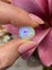 $1 RES ~ $2600 Buy Now * 5.19ct Welo Opal with Rainbow Flashes Carousel 3