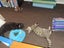 CAT RESCUE CHCH - Ready to Adopt - Sweep & Mindy Carousel 3