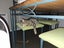 CAT RESCUE CHCH - Ready to Adopt - Sweep & Mindy Carousel 7