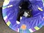 CAT RESCUE CHCH - Ready to Adopt - Sweep & Mindy Carousel 12