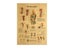 The Body Structure Skeleton Nervous System Vintage Poster Medical Decoracion Carousel 4