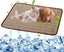 Dog Self Cooling Mat Pet Washable Summer Cooling Pads Cooling Blanket 100*70cm Carousel 1