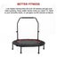 Rebounder Trampoline New Carousel 8