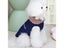 Waterproof Winter Pet Jacket With Fur Collar For Small Dogs French Bulldog Coat Carousel 7