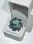 Silver and paua broach Carousel 1