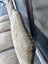 Set of 4 Os De Mouton Beech Tapestry Chairs Carousel 9