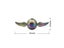 Golden Snitch Fidget Spinner For Stress Relief Figets Toy Carousel 4
